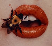 Image for Irving Penn: Beyond Beauty