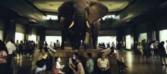 New York Museum of History