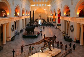 American Museum of Natural History Discounts tickets