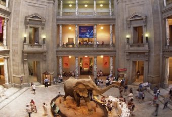 American Museum of Natural History Washington DC