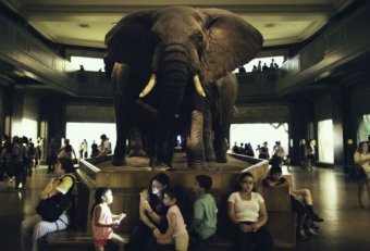 New York Museum of History