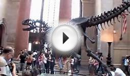 American Museum of Natural History in New York Dinosaur film