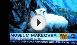 American Museum of Natural History Makeover!